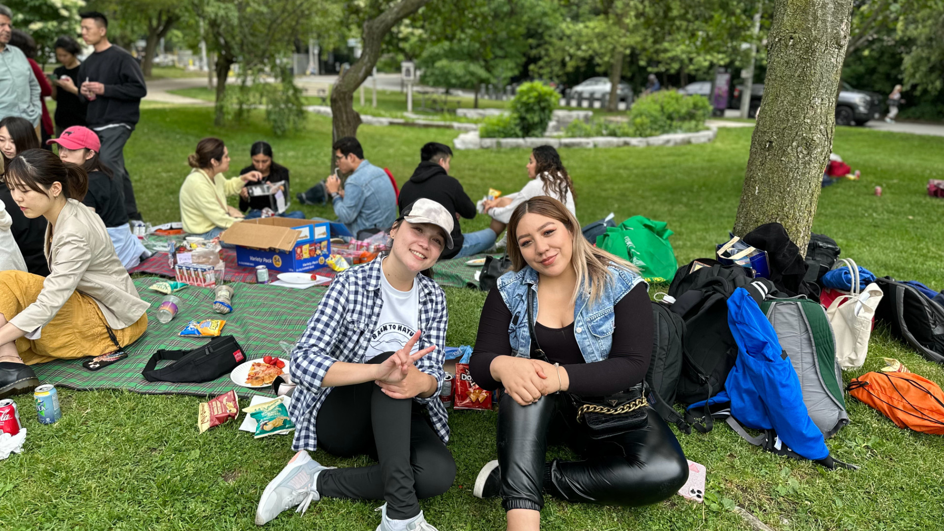 Picnic at High Park